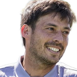 David Silva